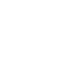 A7X0302's emblem