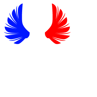 Babou091's emblem