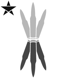 choinn9's emblem