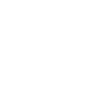 RisePerfect's emblem