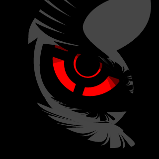 sasHNGN's emblem