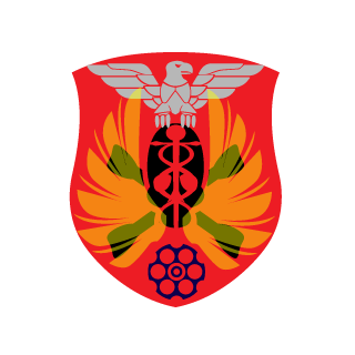 Pacifier471's emblem
