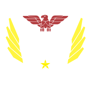 VFX1ng5's emblem