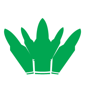 db9a69fbf500950f's emblem