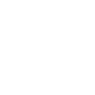 SR5_91's emblem