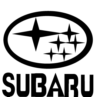 BUddY DfA's emblem
