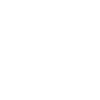 Volman05's emblem