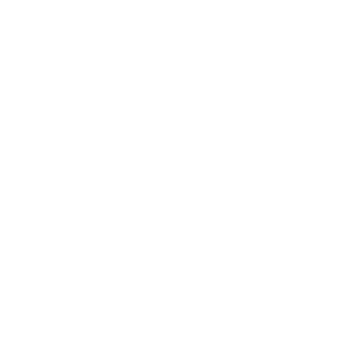4in1andaspicebag's emblem