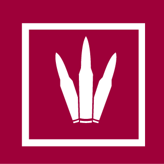 razzercro's emblem
