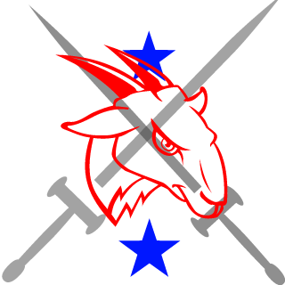 SkullReaper676's emblem