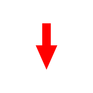 SKISMO's emblem