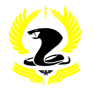 TheSpartan27's emblem
