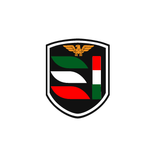 -EI-FMJoker's emblem