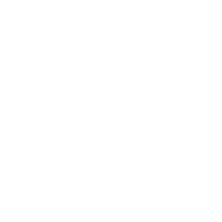 X_MrChaser_X's emblem