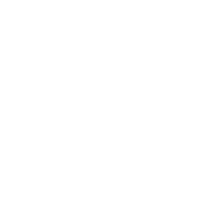 cygnus19's emblem
