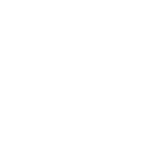 Flash183's emblem