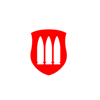 19hzy89's emblem