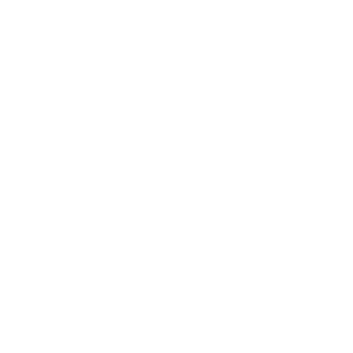 null_nn's emblem