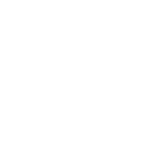 trpboxing's emblem