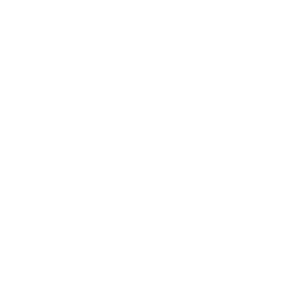 Aleks_Proton's emblem