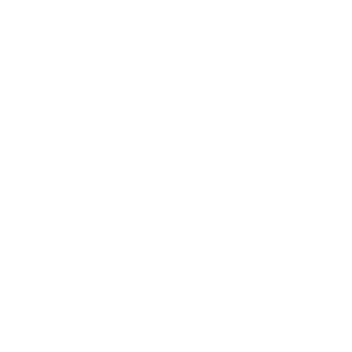 iPhoneRaccoon's emblem