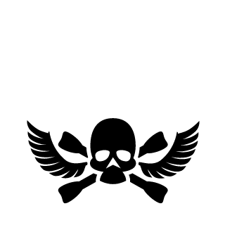 Boeing322's emblem