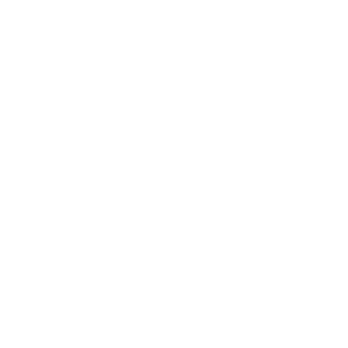 yLucasLeao's emblem