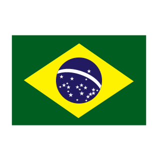 shidochi_BRAZIL's emblem