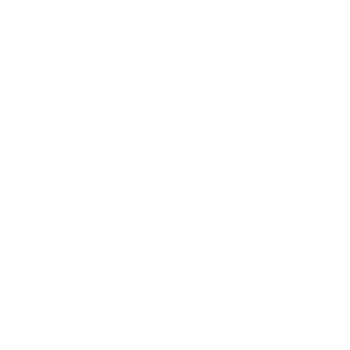 SKILLX97's emblem