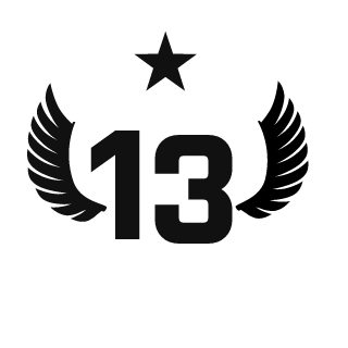 TerribleAcorn13's emblem