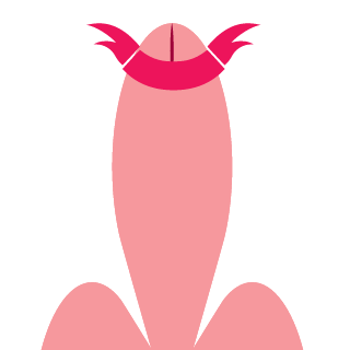 Zatancy's emblem