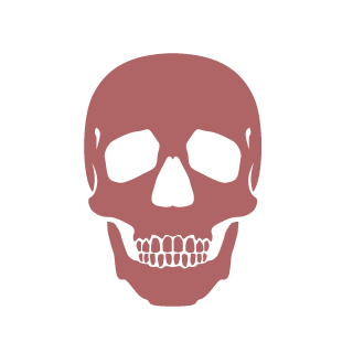 Str0nkyKong's emblem