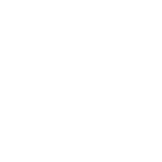 1990p's emblem