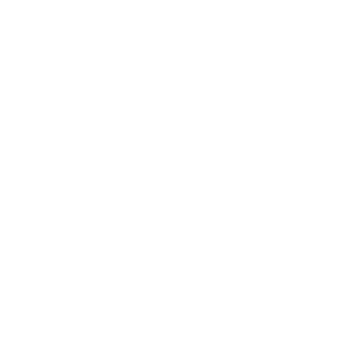 roundishbrett's emblem