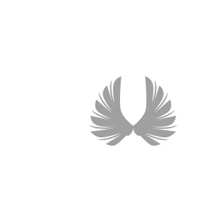 Vengefulsoull's emblem