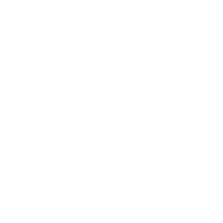 RysN9I_V_StoiLo's emblem