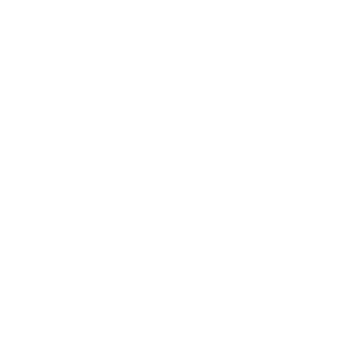 ChangingG's emblem