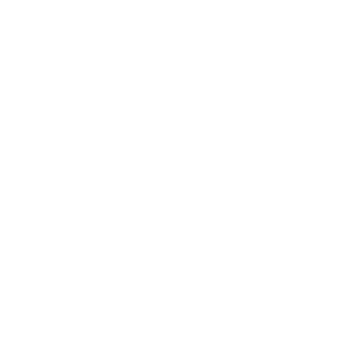 denizboz00's emblem