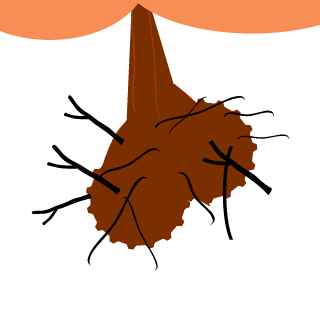 FromUniverse's emblem