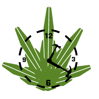 r3sinMan's emblem