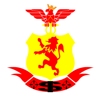 AtiradorStinger's emblem