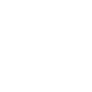 Onix_V39's emblem