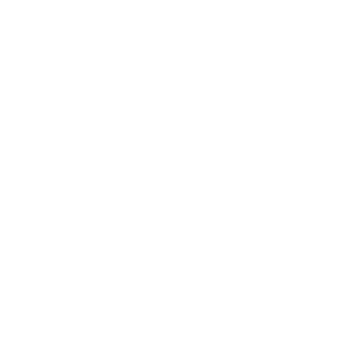 di9sen's emblem