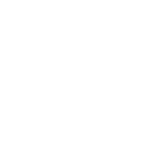 Holuboid1980's emblem