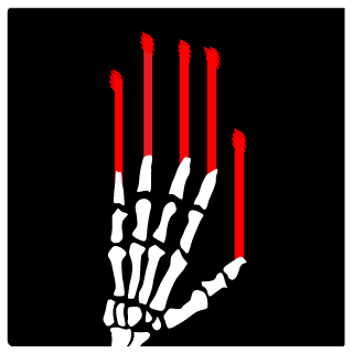 Hodaeg's emblem