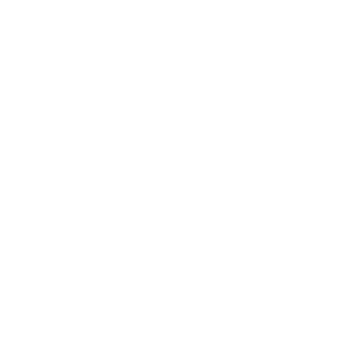 JesterV3's emblem