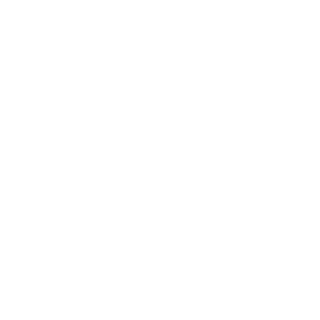 IceVip1337's emblem
