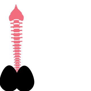 yuki-boom's emblem