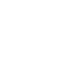 Naografix's emblem