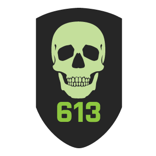 LiveTarget's emblem